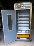 5TTH Greatlander Top Hatch Automatic Incubator - $2260 5TTH Greatlander Top Hatch Automatic Incubator - $2260
